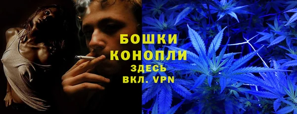 PSILOCYBIN Пролетарск