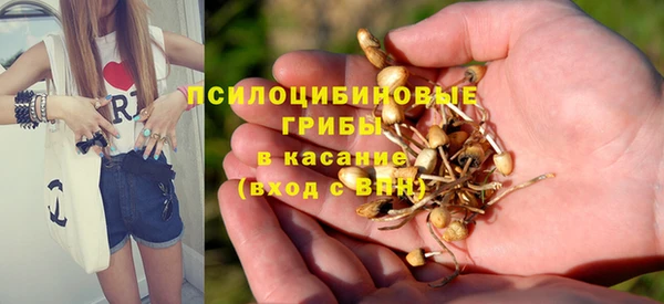 гидропоника Абинск